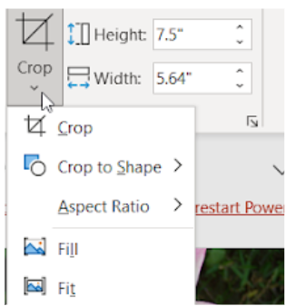 Image showing the size group features