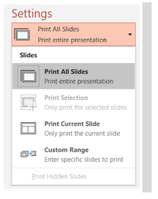 Image showing the slide selection on the print tab