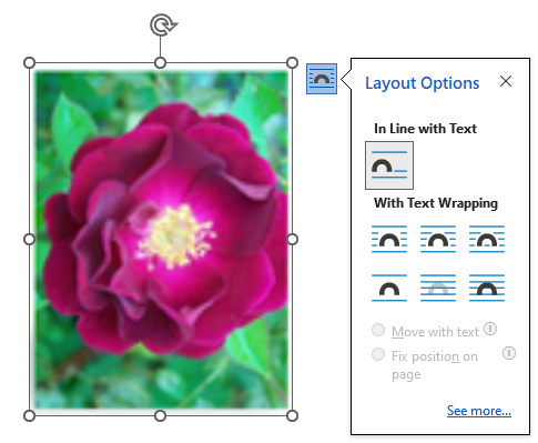 Image showing layout option menu for a picture