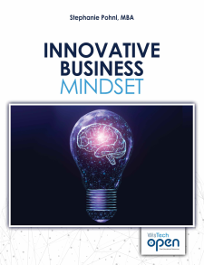 Innovative Business Mindset book cover