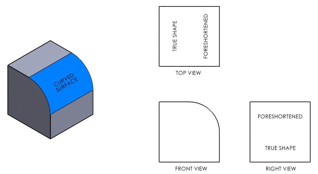 foreshortened view of a curved surface