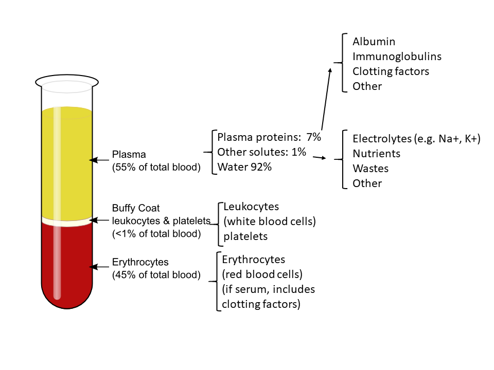 "Components_of_blood" by Alan Sved is licensed under CC BY-SA 4.0 Illustration and text detailing composition of blood