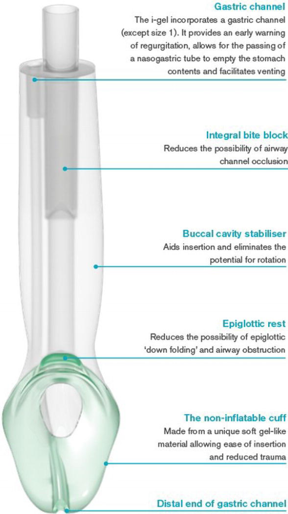 an i gel supraglottic airway with text descriptions for its components