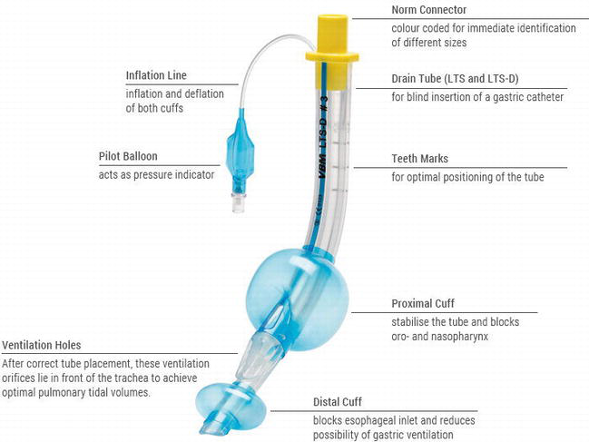 A King laryngeal Tube Suction D, otherwise called a King L T S D