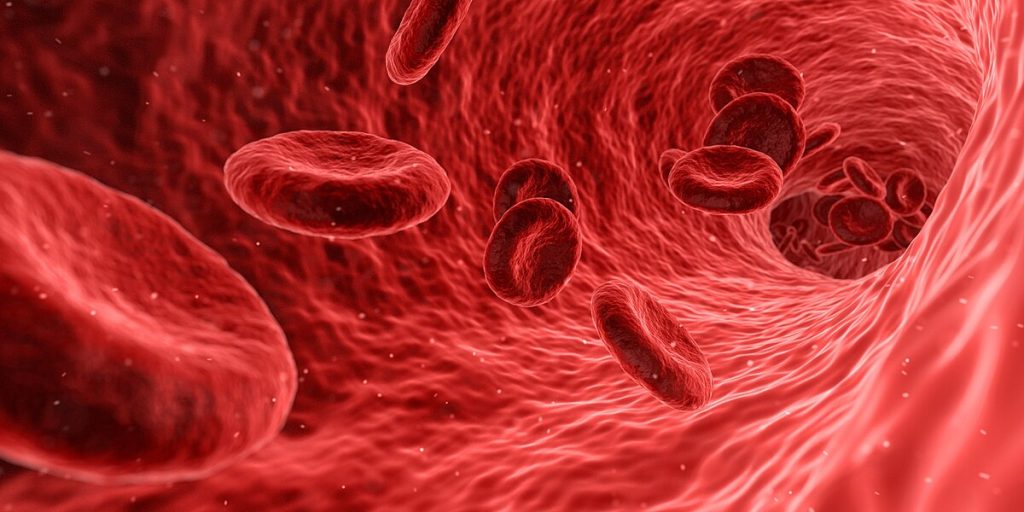 Simulated view of red blood cells within the circulatory system