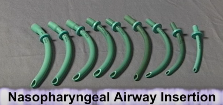 Various nasopharyngeal airway devices